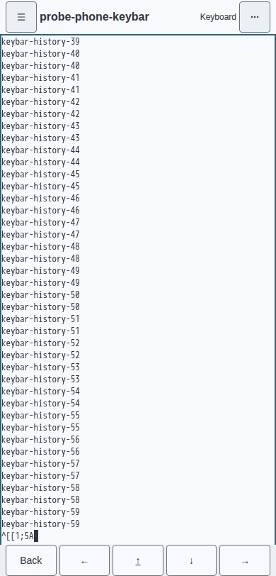 Selection clears and the prompt returns